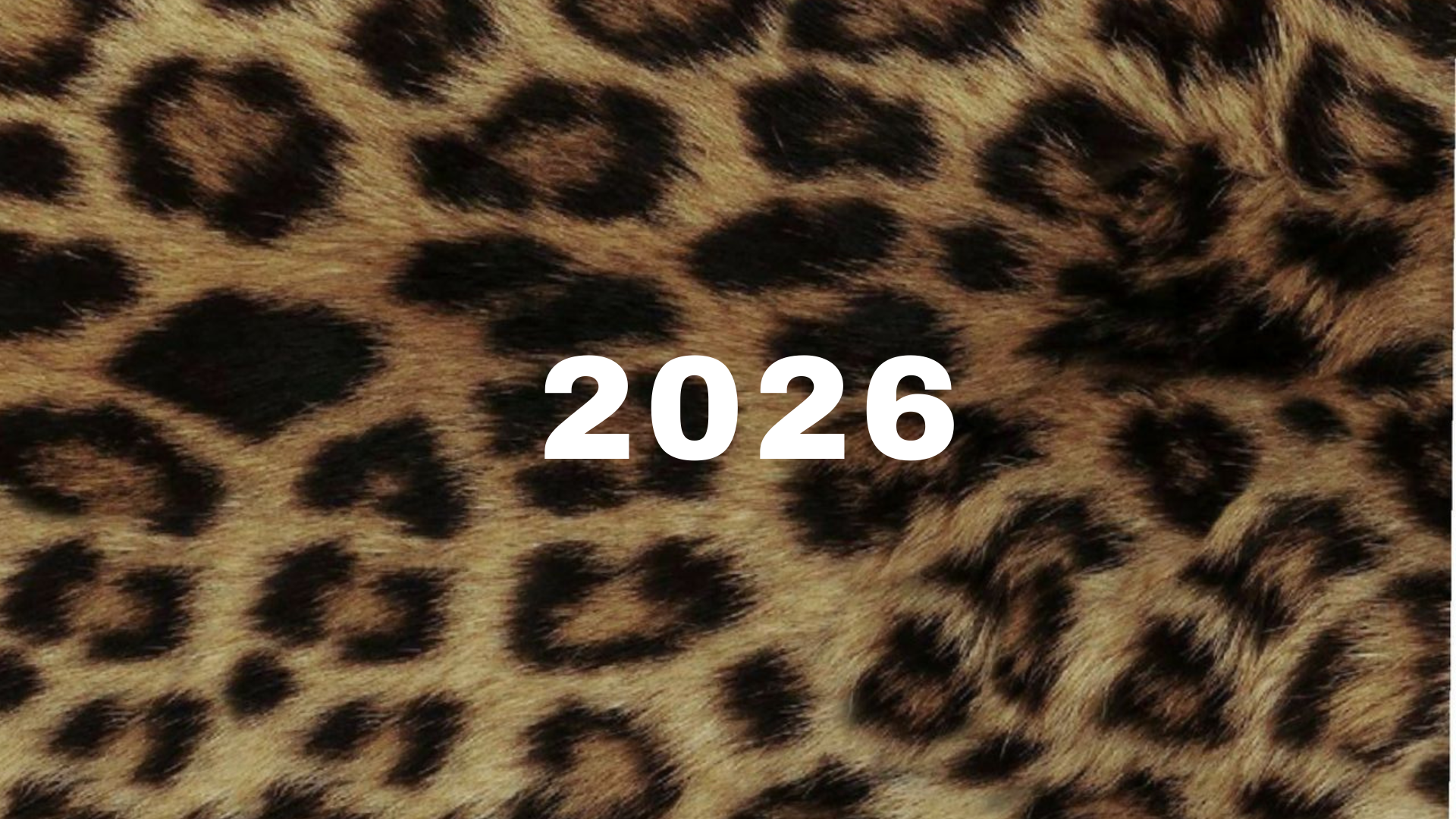 2026 Maximalist calendar